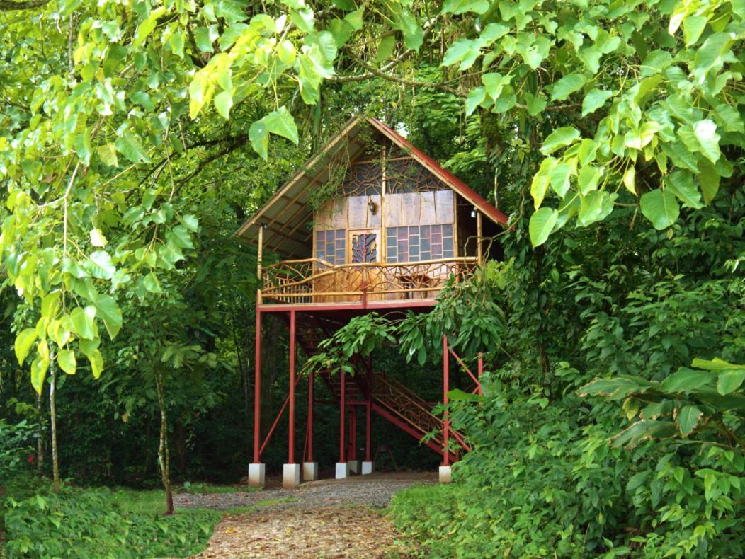 Bio Thermales Hot Springs Willa Palmera Zewnętrze zdjęcie